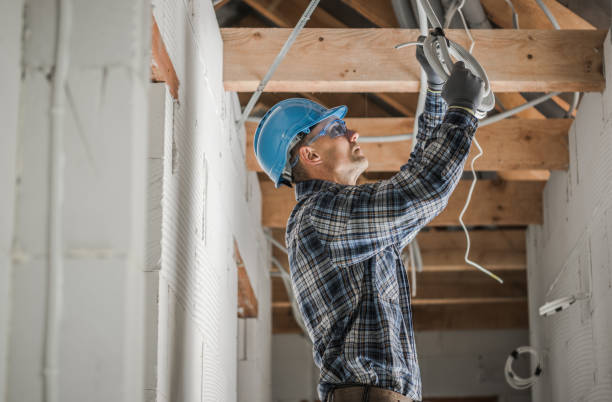 Best Electrical Rewiring Services  in Douglas, MI