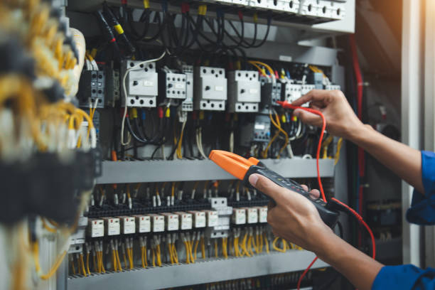 Best Home Electrical Repair  in Douglas, MI