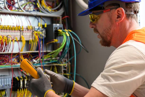 Best Home Electrical Repair  in Douglas, MI
