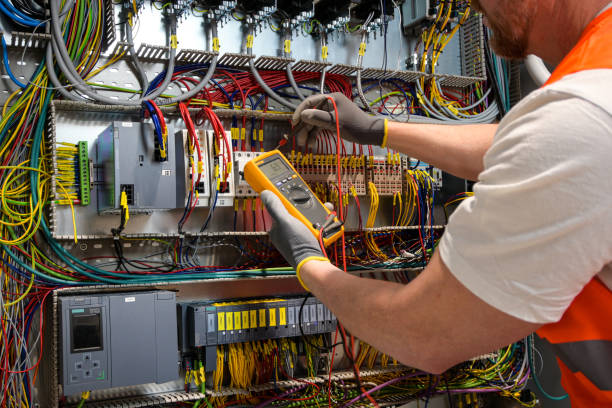 Best Local Electrician Companies  in Douglas, MI