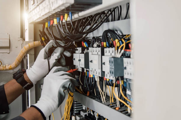 Best Licensed Electrician  in Douglas, MI